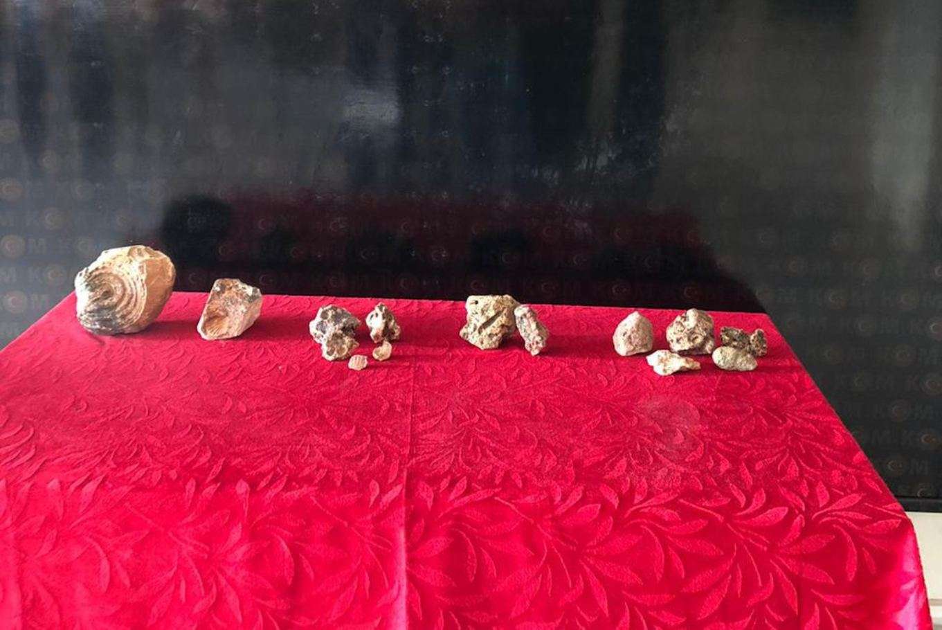 Gaziantep'te bir evde Paleolitik döneme ait fosil ele geçirildi